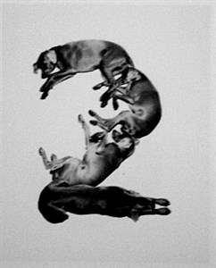 Image description is not available for 2001.031